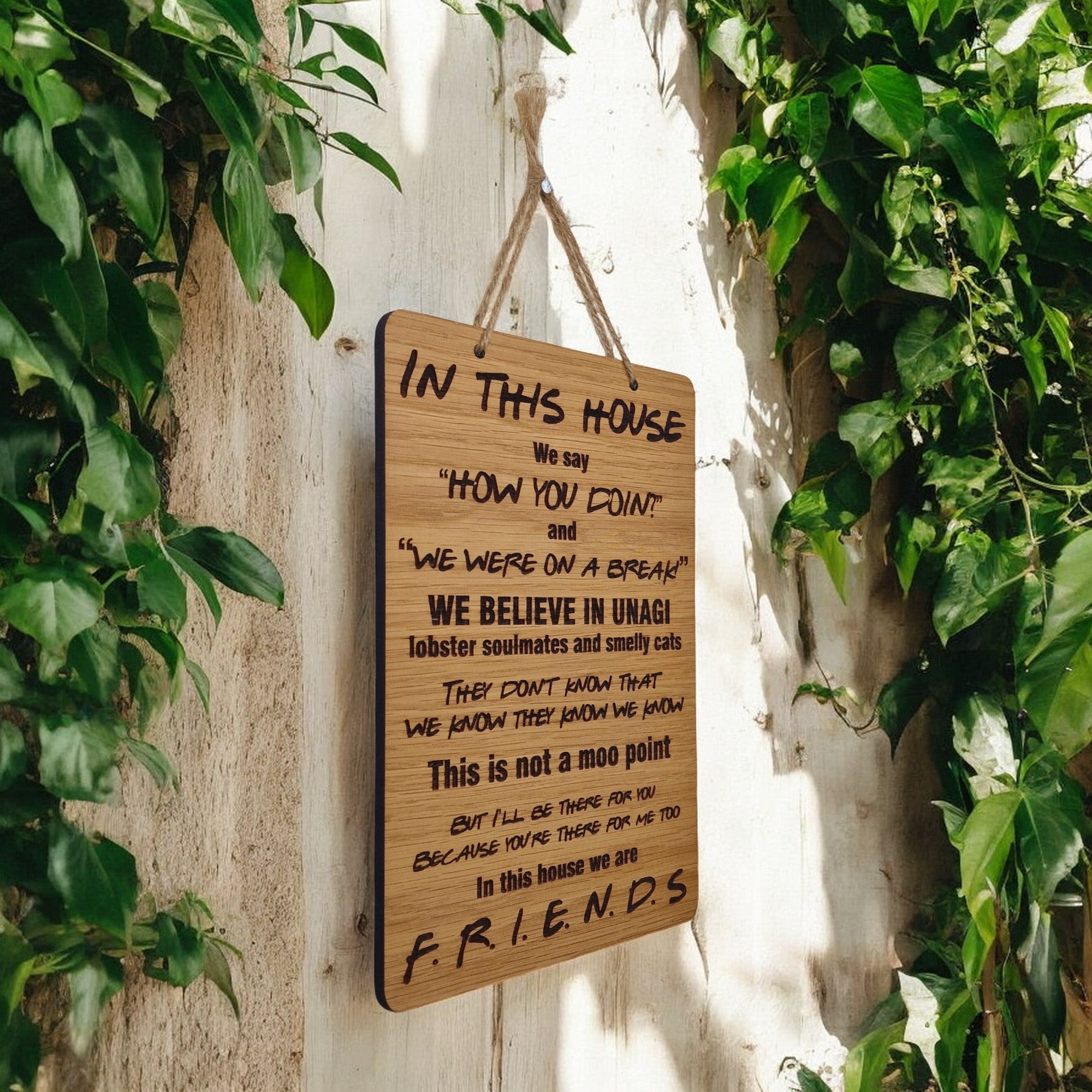 In This House We Do Friends Wooden Hanging Sign